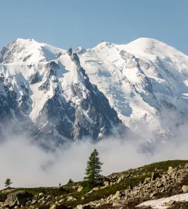 petit coureur devant le massif du Mont-Blanc