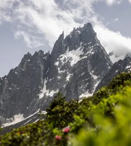paysage montagne