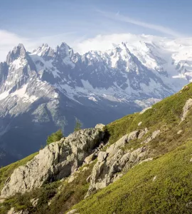 Paysage