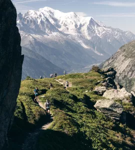 Paysage