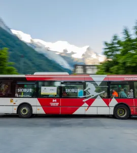Bus