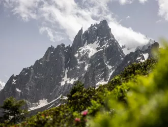 paysage montagne