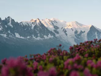 Paysage
