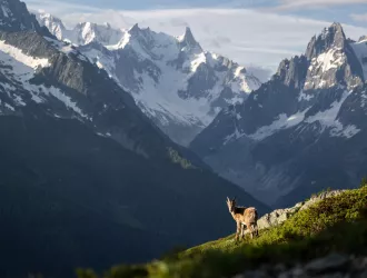 Paysage