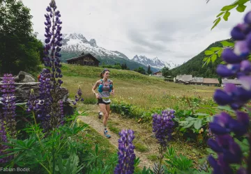 23km