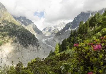 Vue Mer de glace