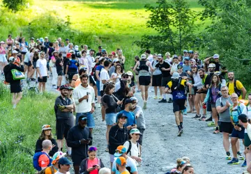 42km 2026