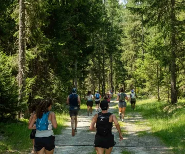 10km 2026
