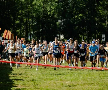 mini cross