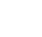 The Young Race