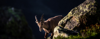 Expérience nature